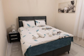Comfortable Suites 1